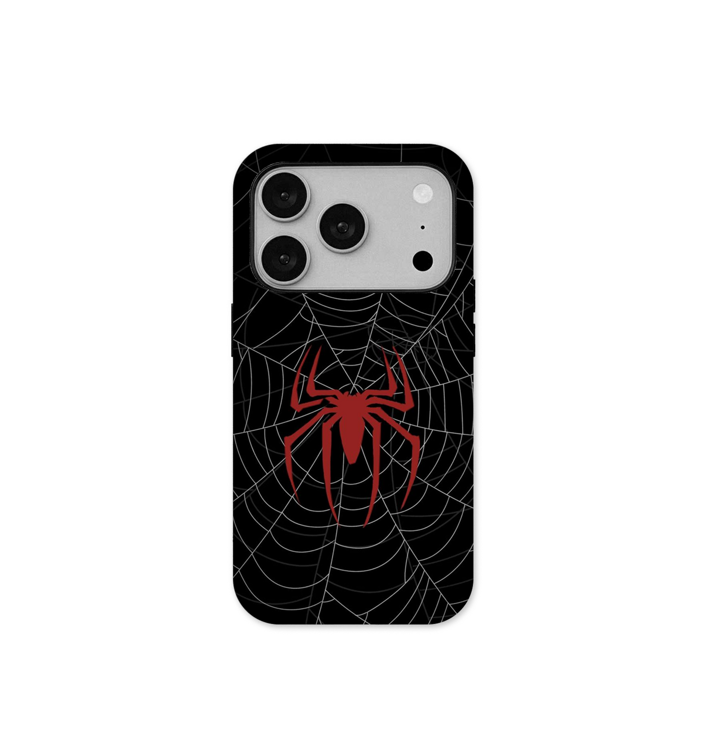 Spider 🕷️