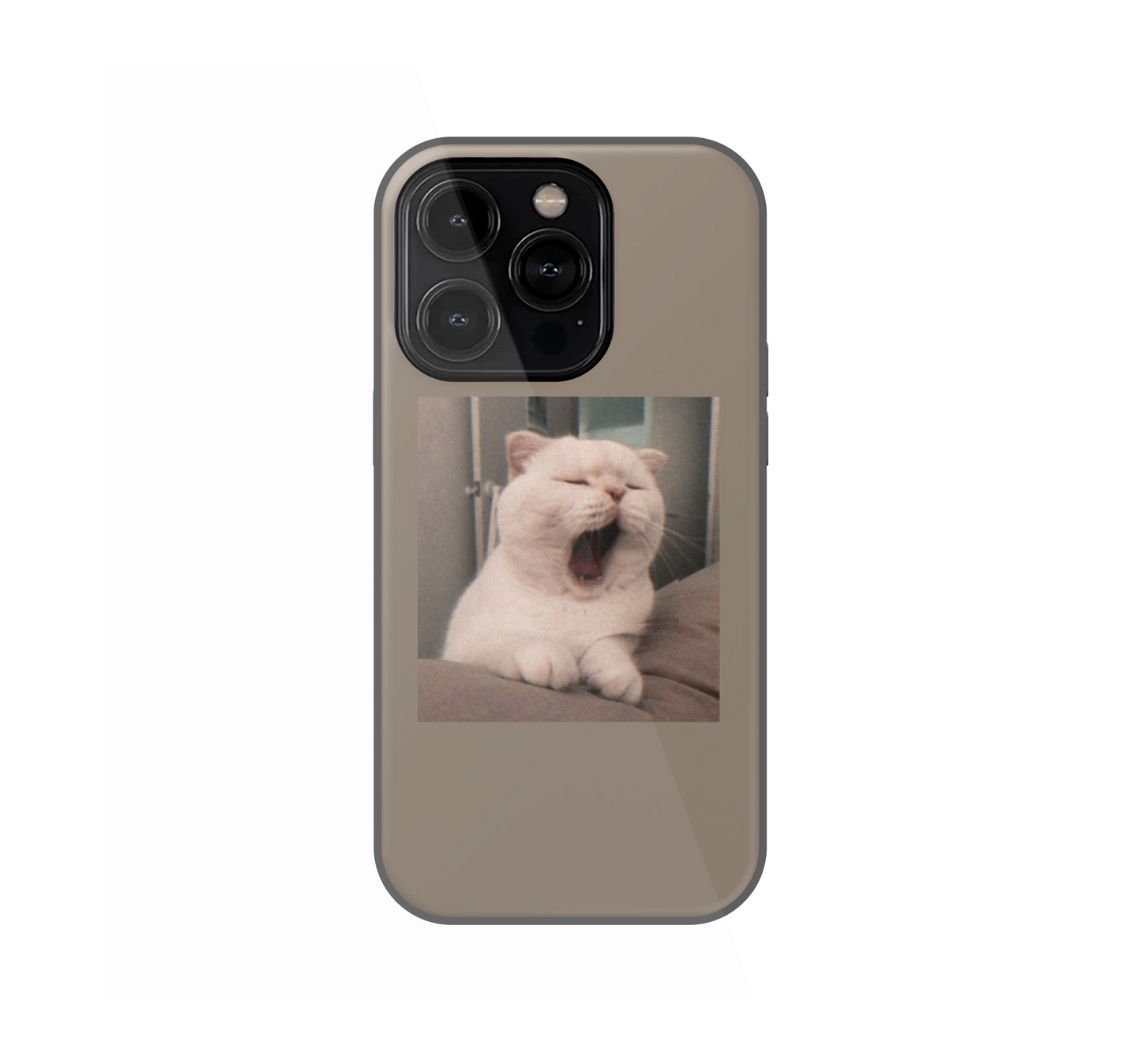 Sleepy Cat Phone Case